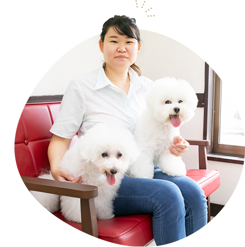 愛犬の「とっておき」を引き出すこだわりトリミング